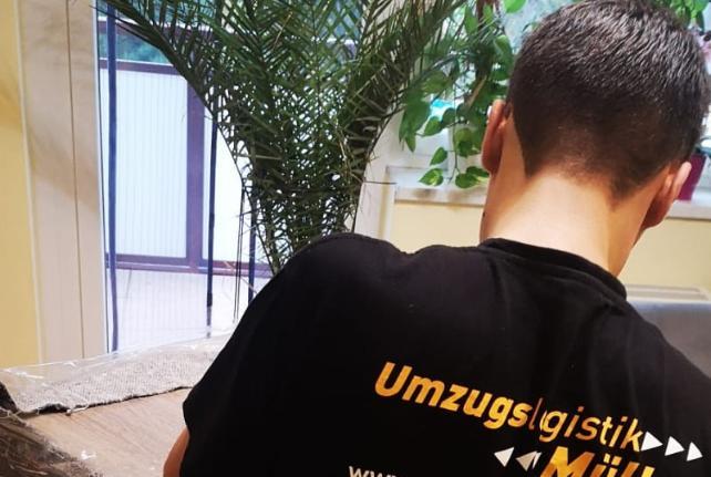 Preise für Ihren Studentenumzug in Grossschweidnitz